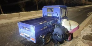 巡逻路上偶遇“小麻烦” 冰城民警暖心“操作”解难题