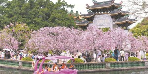 广州“赏花经济”再现热潮 清明假期，全市接待市民游客超548万人次