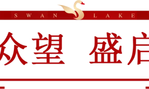 开盘劲销552套,硬实力燃沸深圳!