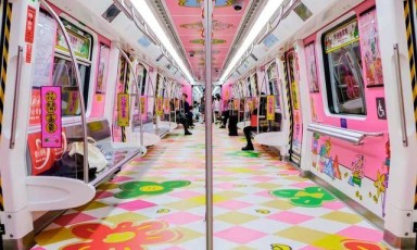 深圳开出“往春天的地铁”，花市主题列车新上线