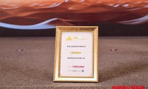 《慧择请回答》专栏策划获“2024金诺·金融品牌年度宣传片”大奖